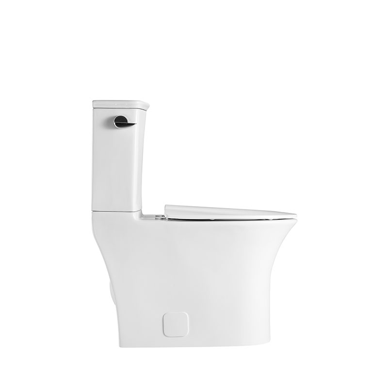 AD-108-TPT CUPC certification One-piece Toilet Siphon Flushing toilet