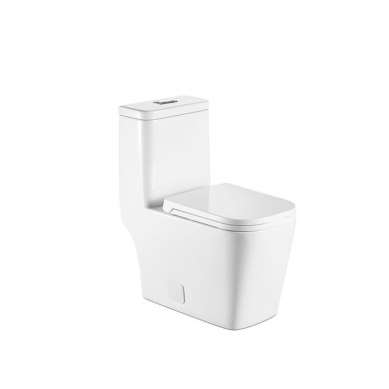 AD-128-TPT Economic Dual flush Water Closet Square One Piece Toilet