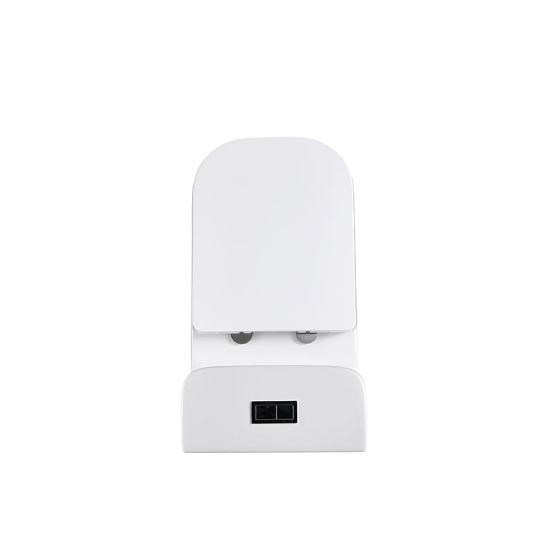 AD-128-TPT Economic Dual flush Water Closet Square One Piece Toilet
