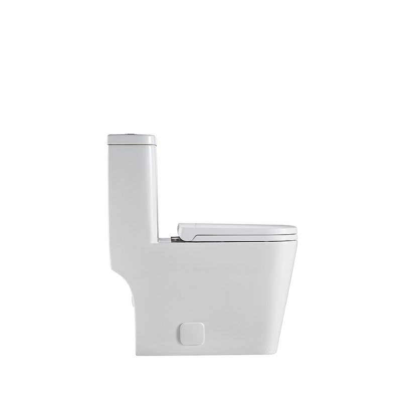AD-128-TPT Economic Dual flush Water Closet Square One Piece Toilet