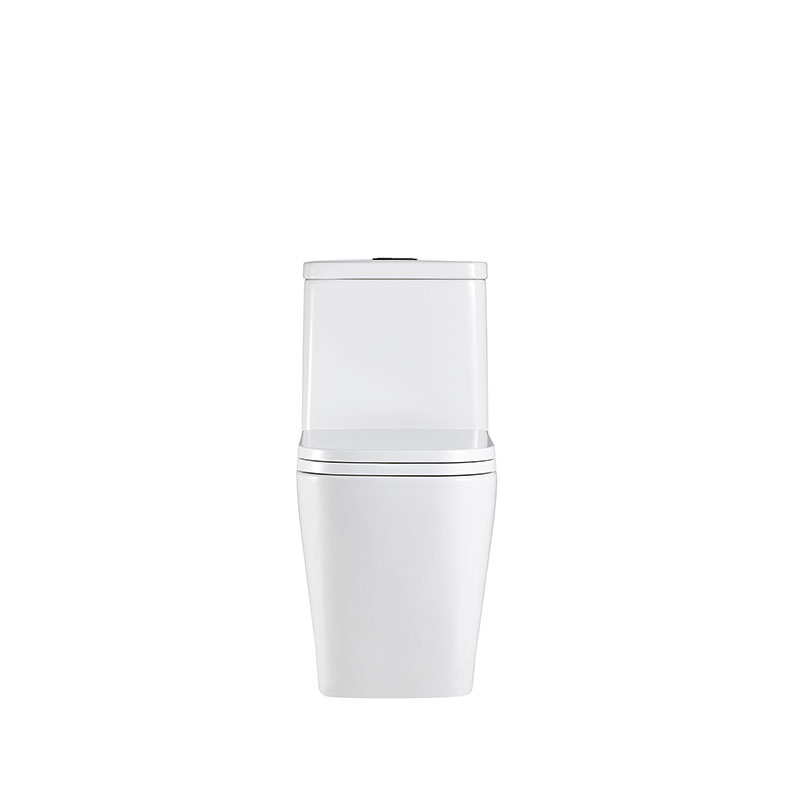 AD-128-TPT Economic Dual flush Water Closet Square One Piece Toilet
