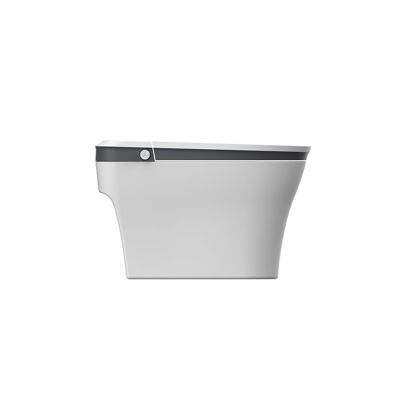 AD-P503  Piano Paint Black Circle Edge Laxative Intelligent Smart Toilet Seat
