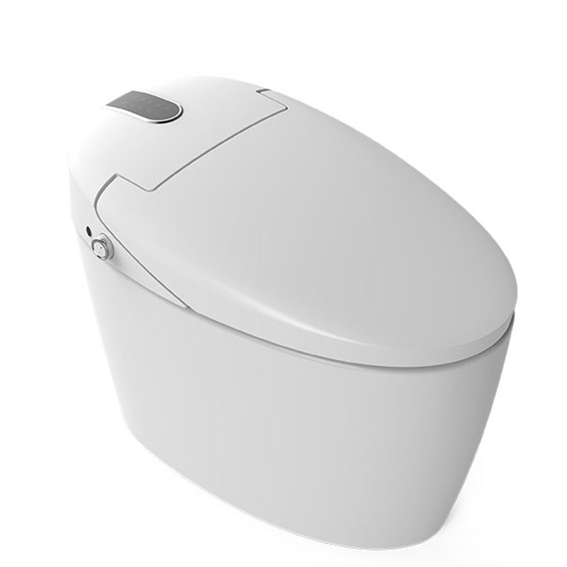 AD-M12 Eco Bathroom Saving Water Auto Sensor Flush S-trap intelligent bidet